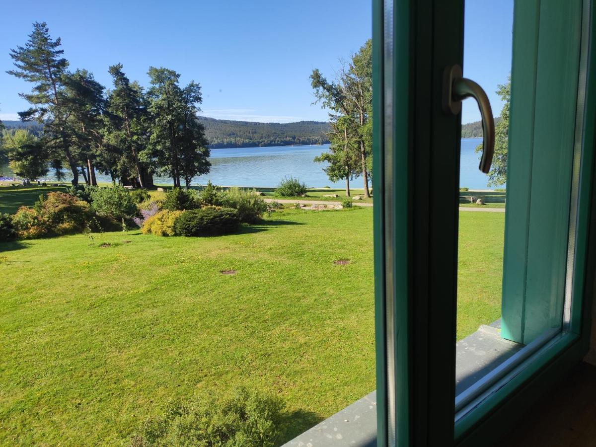 Lipno Riviera - Mysi V Bote Lejlighed Lipno nad Vltavou Eksteriør billede
