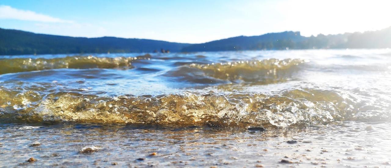 Lipno Riviera - Mysi V Bote Lejlighed Lipno nad Vltavou Eksteriør billede