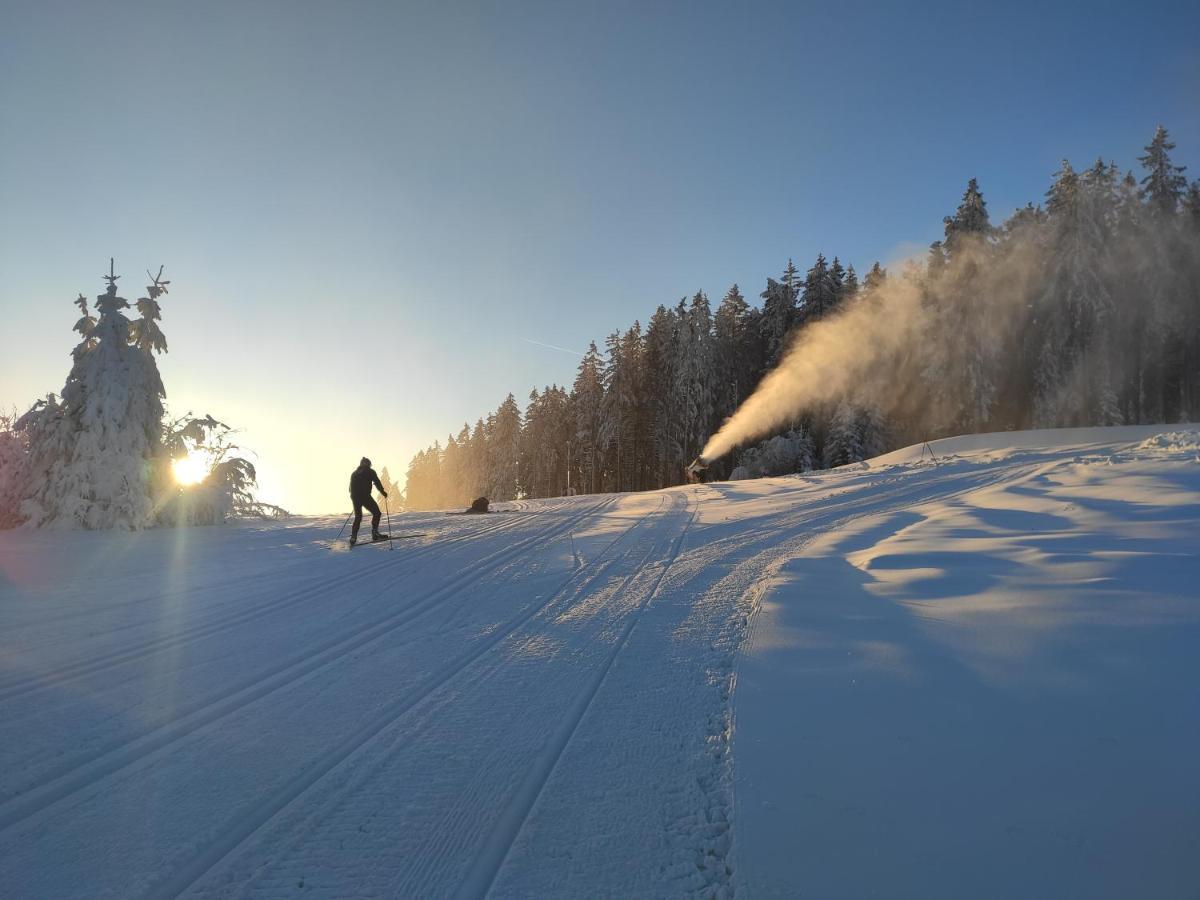 Lipno Riviera - Mysi V Bote Lejlighed Lipno nad Vltavou Eksteriør billede